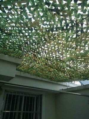 偽裝網(wǎng)不是只可以用來偽裝，更被廣泛應(yīng)用于遮陽